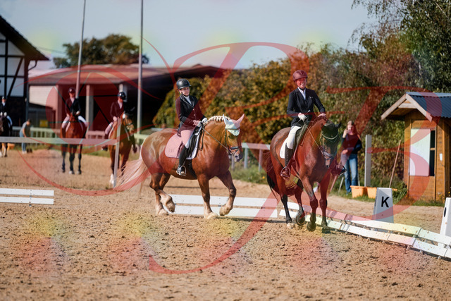 2026_10_03_Siefer-Hof_130504_Z63_68409040 | Professionelle Reitsport-, Turnier- und Eventfotografie von Robert Broda. Galerien mit ausgewählten und bearbeiteten Bildern direkt online ansehen und bestellen.