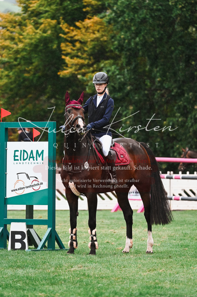 DSC_6526 | Pferde- und Turnierfotografie in Westsachsen. Pferdeportraits, Auftragszeichnungen und intuitive Kunst.