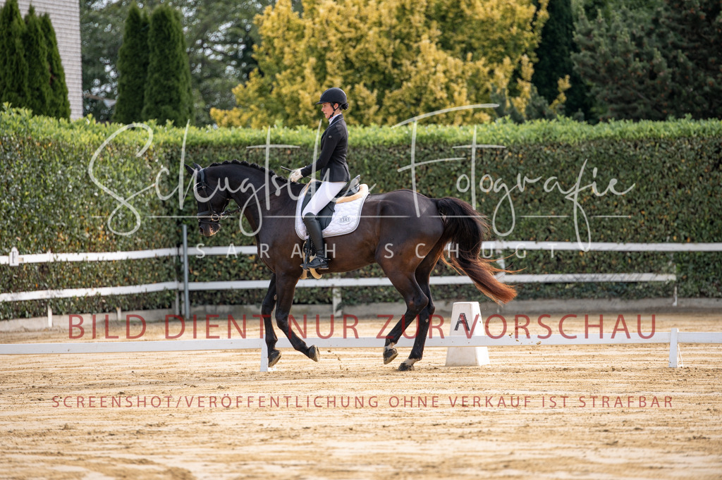 Schugtsche-Aluta25-40.DressurprfA_-36 | Schugtsche Fotografie - Realisiert mit Pictrs.com