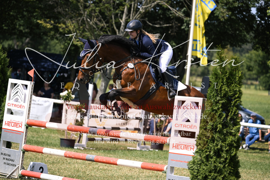 DSC_0248 | Pferde- und Turnierfotografie in Westsachsen. Pferdeportraits, Auftragszeichnungen und intuitive Kunst.