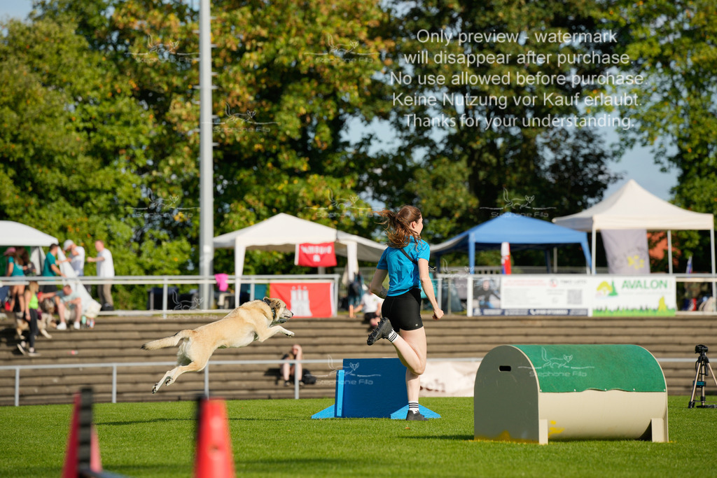 Samstag_CSC (1481 von 2023) | stephaniefillaphotographie - Realisiert mit Pictrs.com