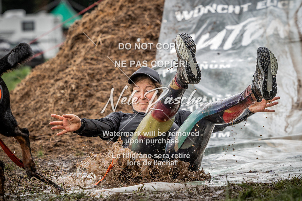 nelerasche_Wingst_Sa1300-1330_399 | nelerasche