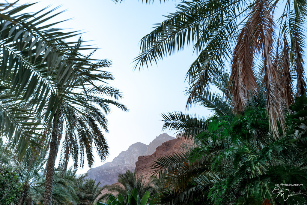 Wadi Tiwi, Oman | Herzlich willkommen auf meiner Seite! Ich bin Elke Wallnisch, Deine Fotografin für lichtstarke Momente. Der Name steht für alles, was mich mit der Fotografie verbindet: Das Licht und seine machtvolle Wirkung auf eine Situation oder unsere Stimmung - Realisiert mit Pictrs.com
