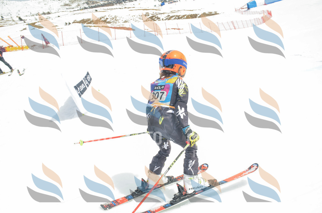 _ELE8347 | holidayphoto