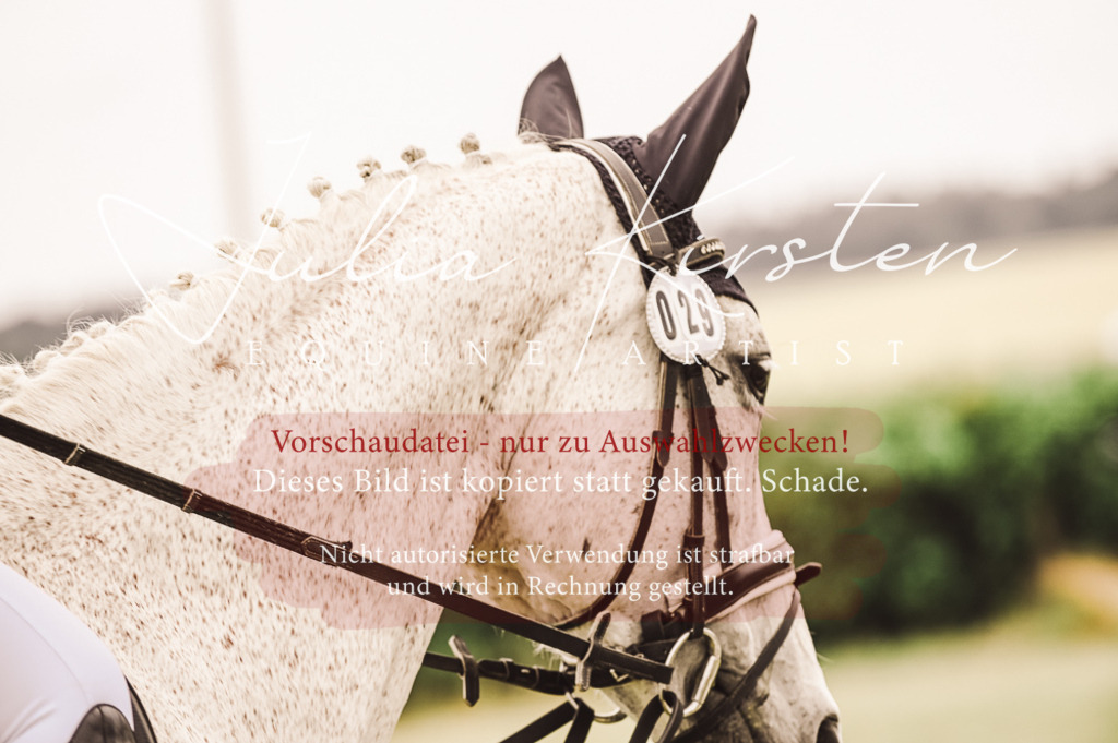 DSC_4978 | Pferde- und Turnierfotografie in Westsachsen. Pferdeportraits, Auftragszeichnungen und intuitive Kunst.