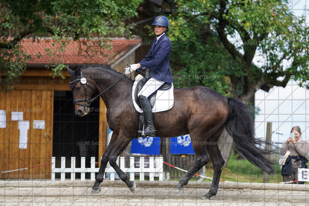 20230826-FAH05529 | Forstinning, 2023, Dressurturnier, Turniersportbilder, Turnierfotografen Bayern, Fotoagentur Herrmann, Reitsportfotografie, Turnierbilder