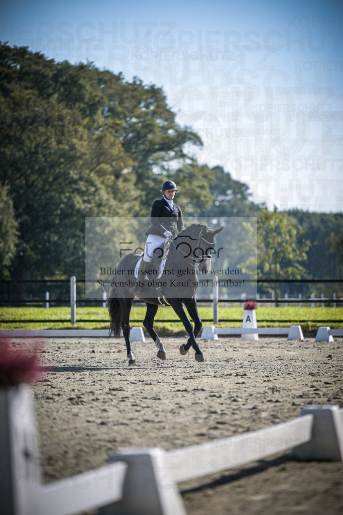 DOS_2005 | Entdecke hochwertige Reitturnierfotos von Foto Oger. Professionell, emotional und authentisch – jetzt Lieblingsmomente im Shop bestellen.Deutschlandweite Turnierfotografie. - Realisiert mit Pictrs.com