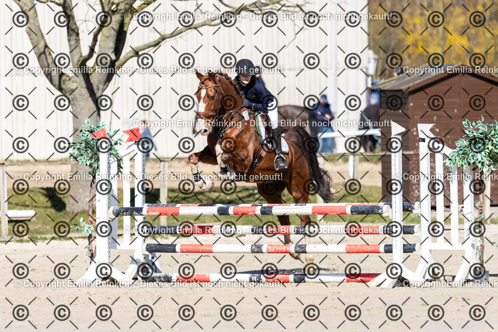 CL5A2954 | Emilia Reinking Fotografie - Realisiert mit Pictrs.com