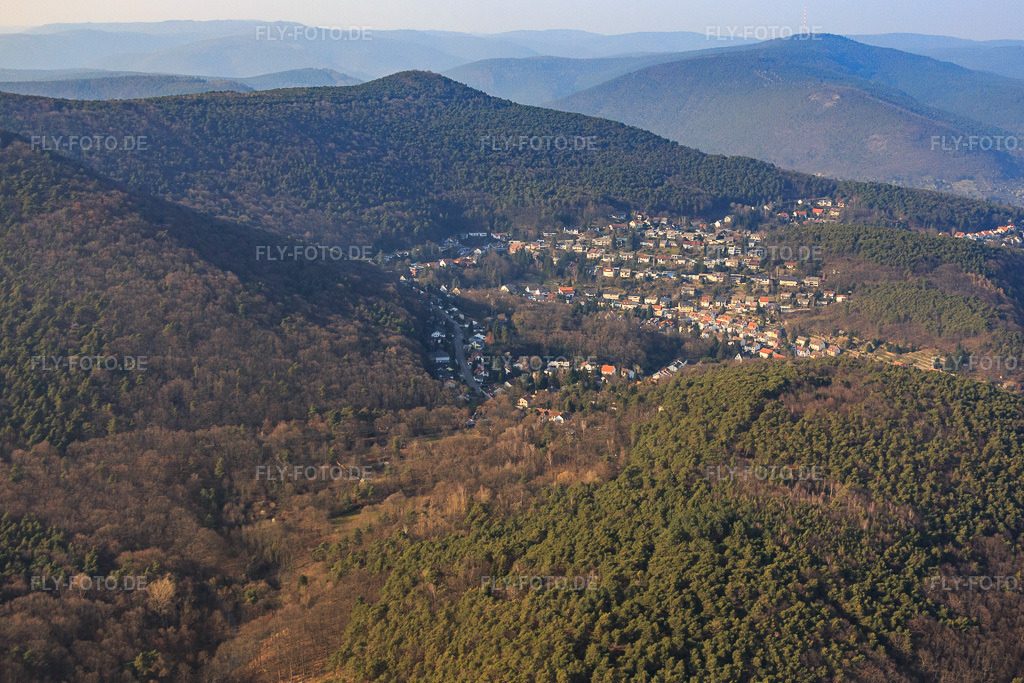 Luftbild: Stadtteil im Wald mt Bergsteinstr im Ortsteil Hambach an der Weinstraße in Neustadt im Bundesland Rheinland-Pfalz in Deutschland. Foto: IMG_086522.jpg vom 18.03.2016 durch Werner Riehm/FLY-FOTO.de