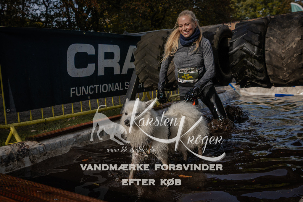 1414_ZZ94205 | kk-dogfotos