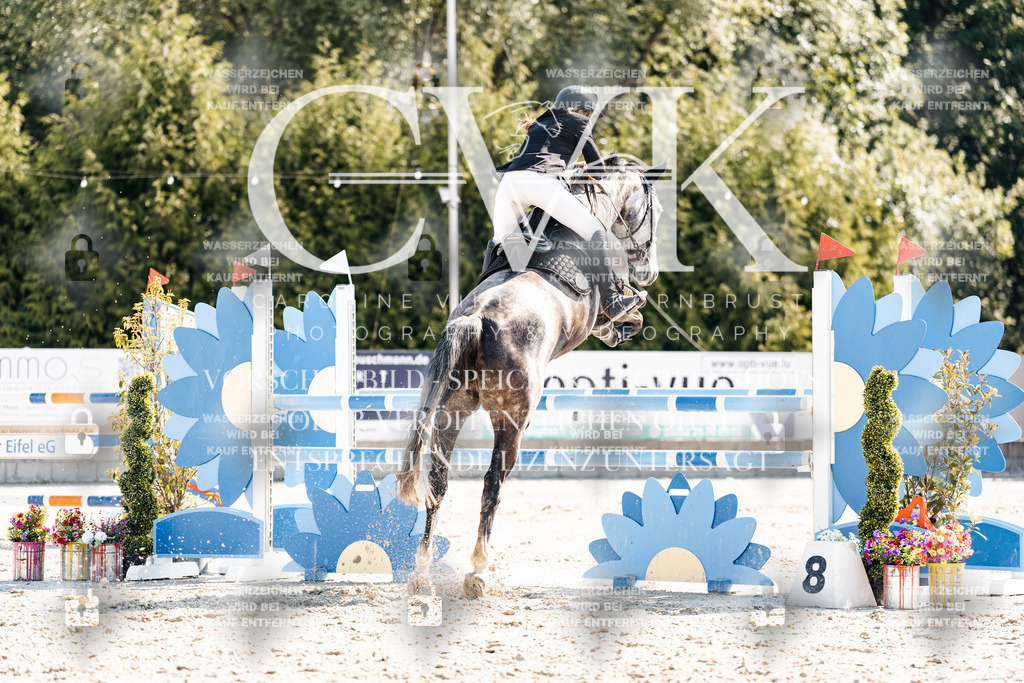 CK902601 | Turnierfotografie Pferdefotografie Trier Rheinland-Pfalz Pferdesport Reitsport Tierfotografie Sportfotografie Pferdevideo Pferdevideografie Equestrianvideography equestrianphotography  - Realisiert mit Pictrs.com