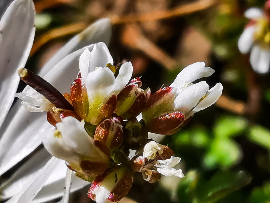 PSX_20230313_223535 | mtkfoto_ - Realisiert mit Pictrs.com