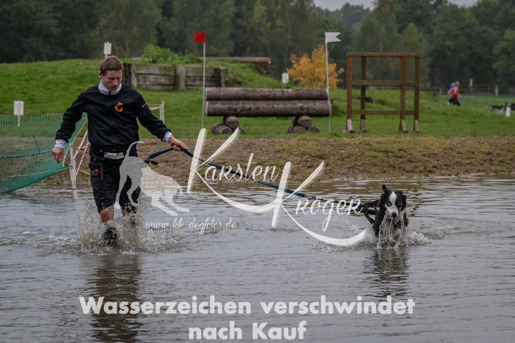 0816_ZZ90618 | kk-dogfotos
