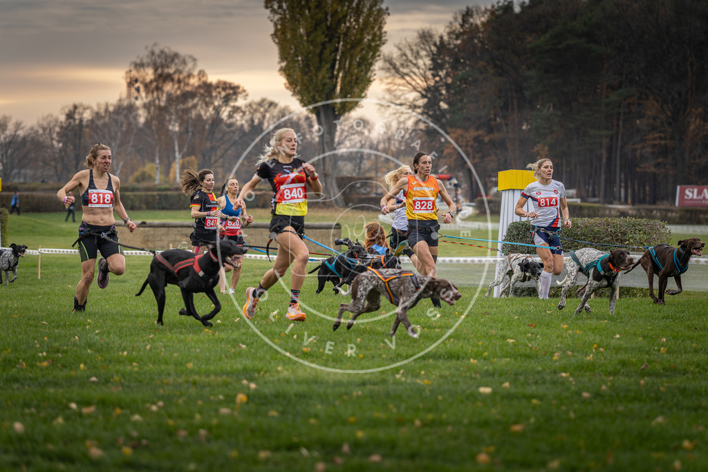 CaniXpix_DV3A6036 | Hundefotografie, Tierfotograf, Pfotenfotografie, Fotoshooting Hund, Hunde Portrait, Hundesport, Hundeportraits, Heideshooting, Hunde, Sportfotograf, Hundefotograf, Turnierhundsport, THS,  - Realisiert mit Pictrs.com