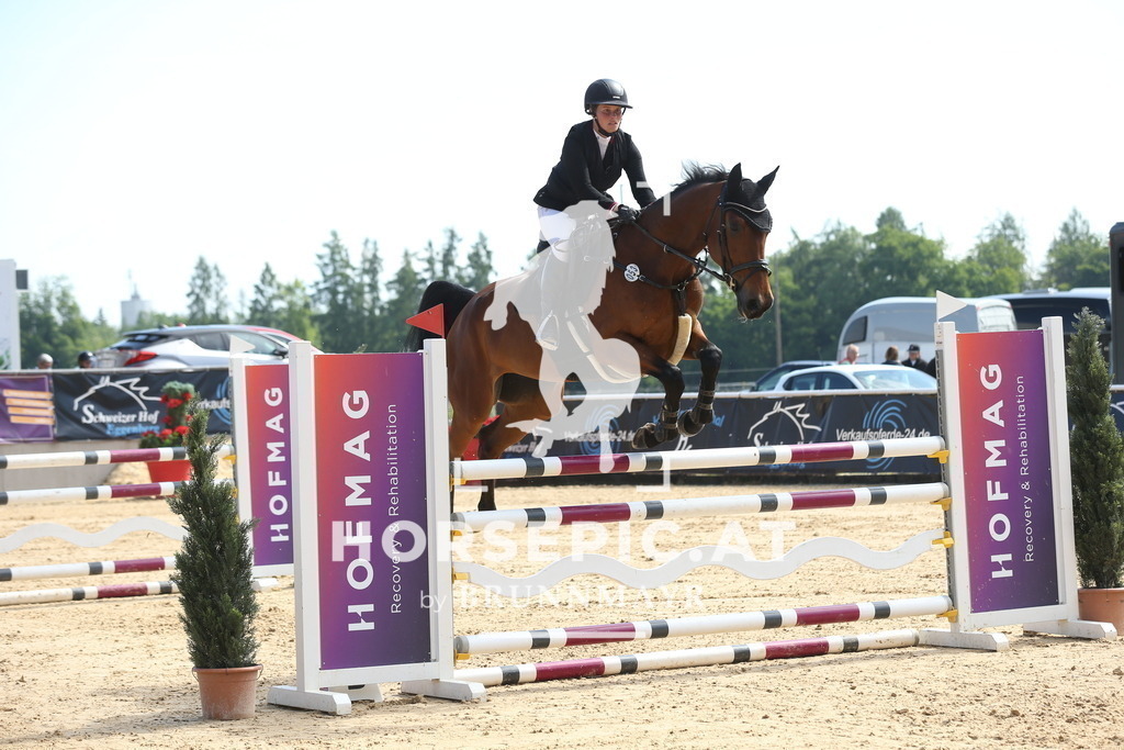 DL2Q0947 | Willkommen bei Brunnmayr - Design & Fotografie – Ihrem Spezialisten für Reitturniere und Pferdeveranstaltungen in Oberösterreich, Salzburg und Bayern! Seit über 17 Jahren sind wir leidenschaftlich dabei.