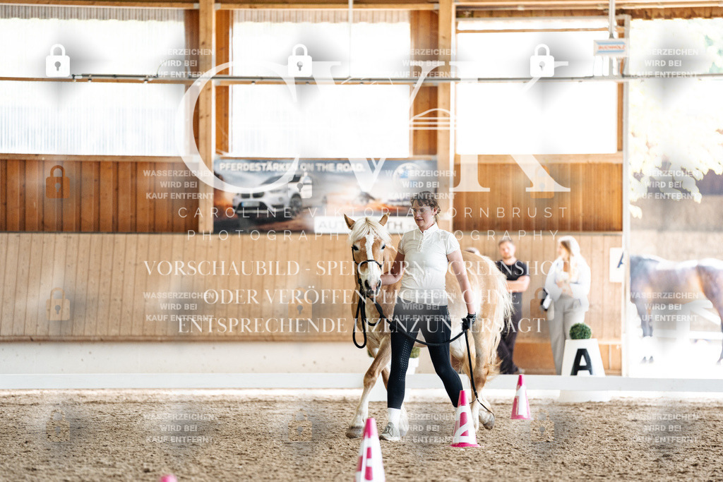 CK908574 | Turnierfotografie Pferdefotografie Trier Rheinland-Pfalz Pferdesport Reitsport Tierfotografie Sportfotografie Pferdevideo Pferdevideografie Equestrianvideography equestrianphotography  - Realized with Pictrs.com