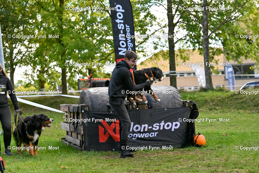 DSC_6472 | Hallo und herzlich Willkommen auf meiner Shop-Seite Fynn Most.

Ich wünsche Dir viel Spaß beim stöbern durch die Bilder, wenn Du Fragen hast oder Bilder vermisst, kannst du mir gerne eine Nachricht schreiben. - Realisiert mit Pictrs.com