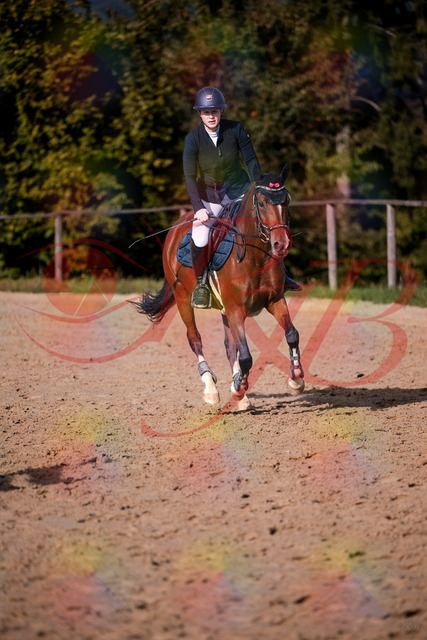2026_10_03_Siefer-Hof_155405_Z81_74101476 | Professionelle Reitsport-, Turnier- und Eventfotografie von Robert Broda. Galerien mit ausgewählten und bearbeiteten Bildern direkt online ansehen und bestellen.