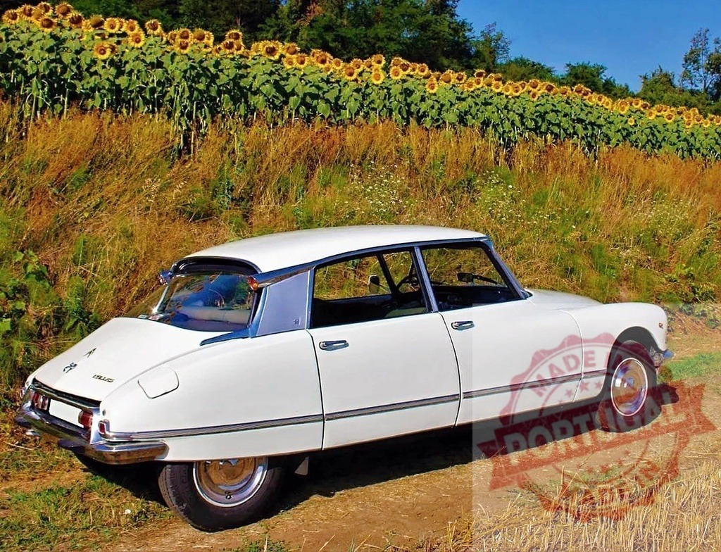 White vintage Citroën DS driving through sunflower landscape | Citroën DS car parked on a dirt road in front of blooming sunflowers under a blue sky - Realized with Pictrs.com