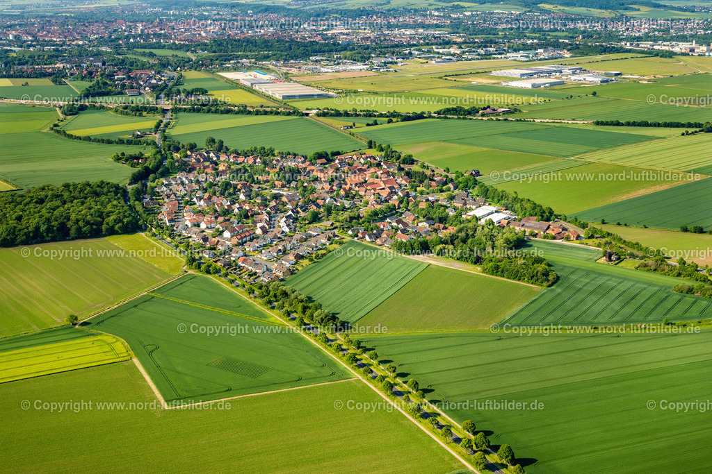 Asel_ELS_4361050623 | ASEL 05.06.2023 Landwirtschaftliche Nutzflächen und Feldgrenzen umsäumen das Siedlungsgebiet des Dorfes an der Göriacher Straße in Asel im Bundesland Niedersachsen, Deutschland. // Agricultural land and field boundaries surround the settlement area of the village on street Goeriacher Strasse in Asel in the state Lower Saxony, Germany. Foto: Martin Elsen