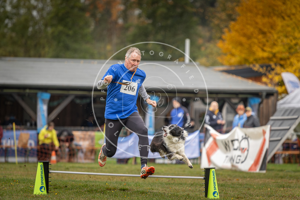 Pfotenfotografie_DV3A1751 | Hundefotografie, Tierfotograf, Pfotenfotografie, Fotoshooting Hund, Hunde Portrait, Hundesport, Hundeportraits, Heideshooting, Hunde, Sportfotograf, Hundefotograf, Turnierhundsport, THS,  - Realisiert mit Pictrs.com