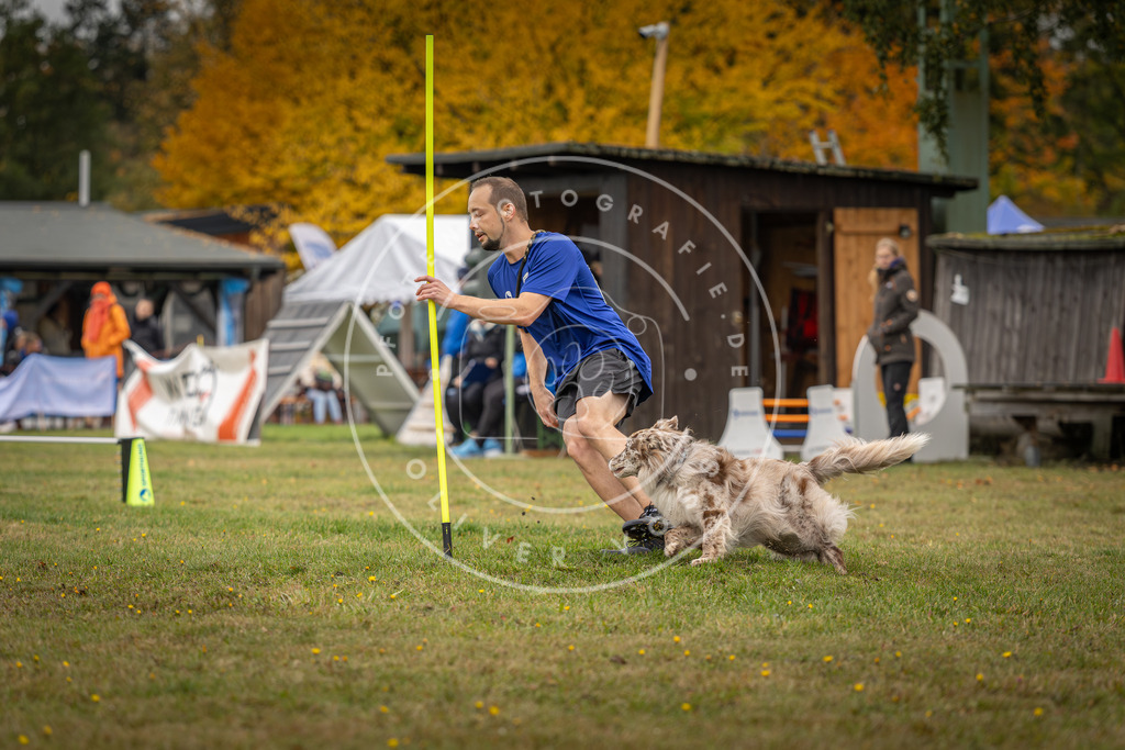 Pfotenfotografie_DV3A5036 | Hundefotografie, Tierfotograf, Pfotenfotografie, Fotoshooting Hund, Hunde Portrait, Hundesport, Hundeportraits, Heideshooting, Hunde, Sportfotograf, Hundefotograf, Turnierhundsport, THS,  - Realisiert mit Pictrs.com