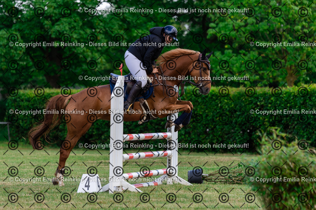 CL5A5616 | Emilia Reinking Fotografie - Realisiert mit Pictrs.com