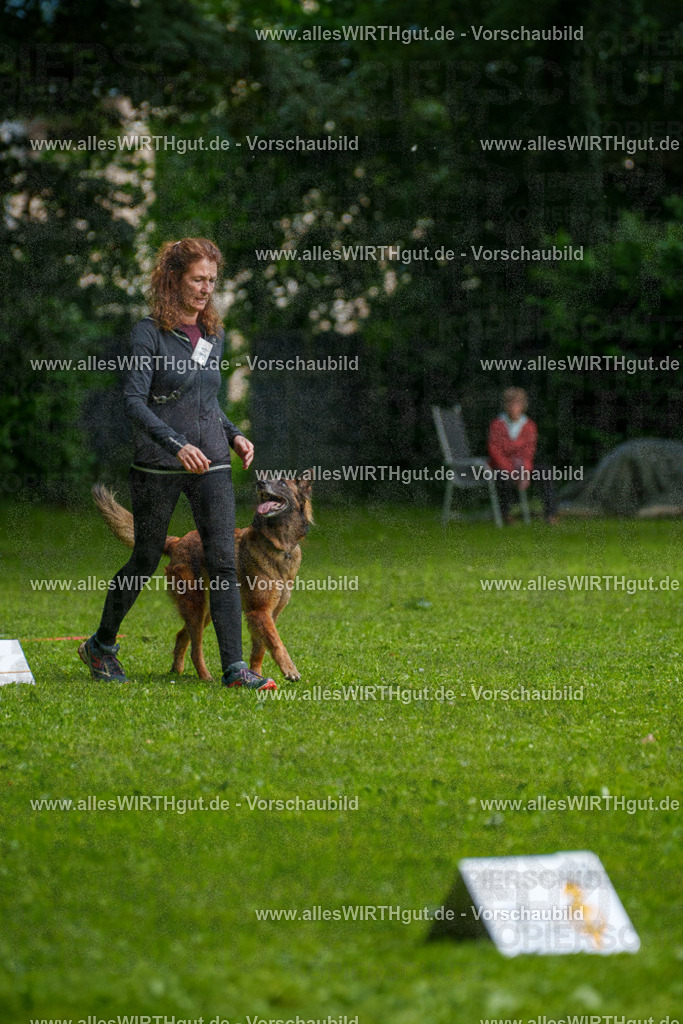 @allesWIRTHgut_Tierfotografie - www.allesWIRTHgut.de - 7R503683 | Professionelle Tierfotografie in Mönchengladbach von Daniel Wirth (allesWIRTHgut). Liebevolle & natürliche Bilder von Hunden & Katzen für unvergessliche Erinnerungen.