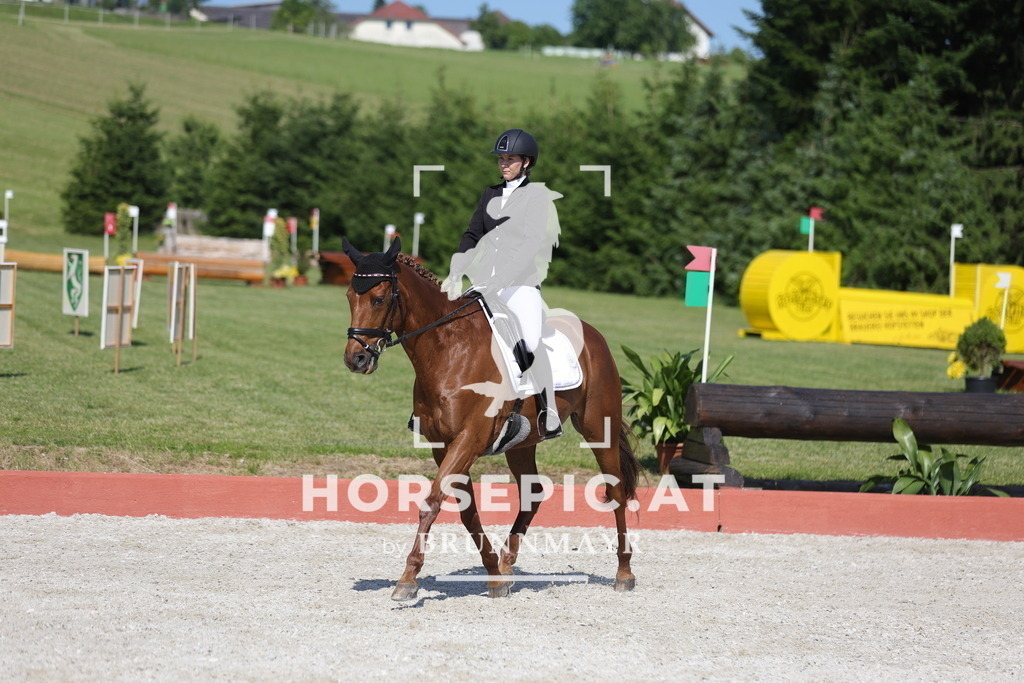 0P6A8108 | Willkommen bei Brunnmayr - Design & Fotografie – Ihrem Spezialisten für Reitturniere und Pferdeveranstaltungen in Oberösterreich, Salzburg und Bayern! Seit über 17 Jahren sind wir leidenschaftlich dabei.