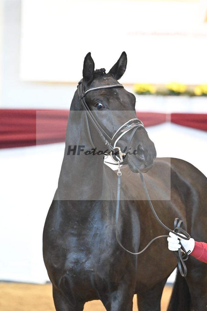 Kat-Nr. 25 v. Donier_Koch_66220252 | hf-fotografie - Realisiert mit Pictrs.com