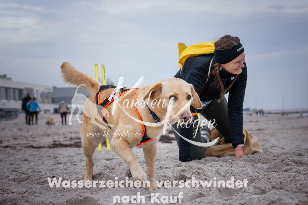 1213_ZZ92730 | kk-dogfotos