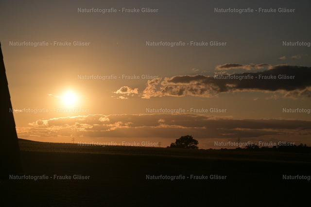Sonnenuntergang in Bornum (2) | Naturfotografie Frauke Gläser - Realisiert mit Pictrs.com