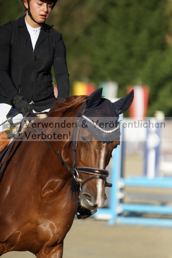 DSC08088 | equestrian-live-com