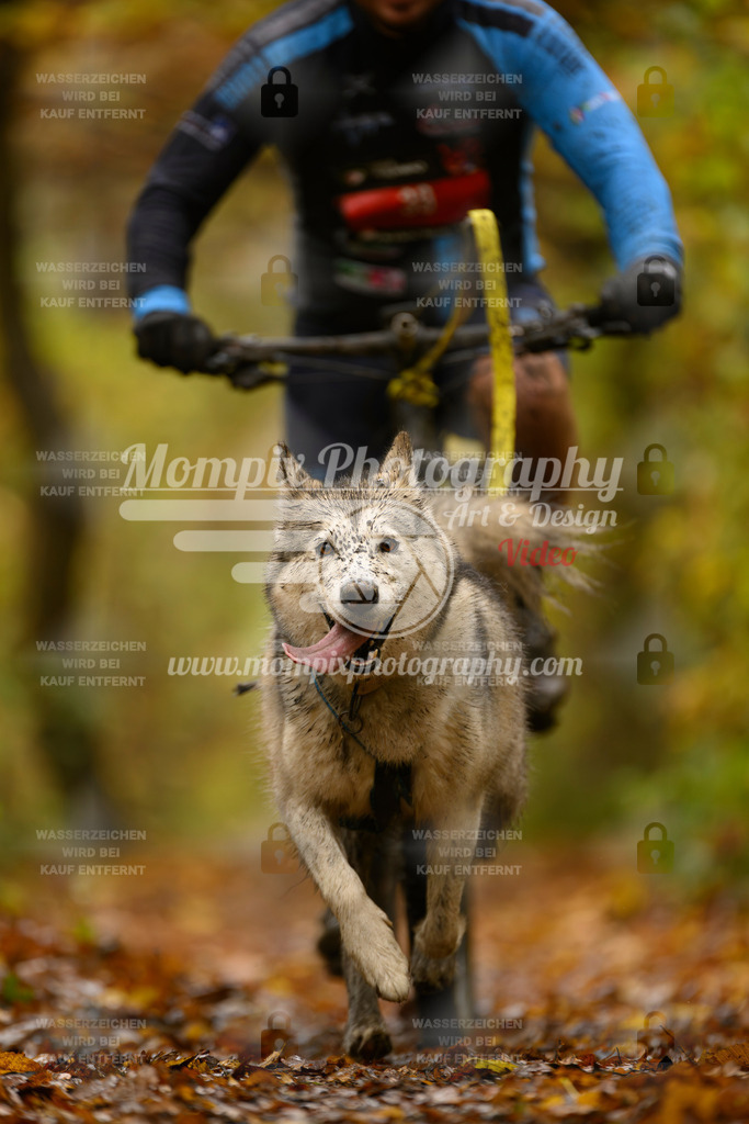 MompixPhotography_CD7S_DI_Bike-70 | mompixphotography