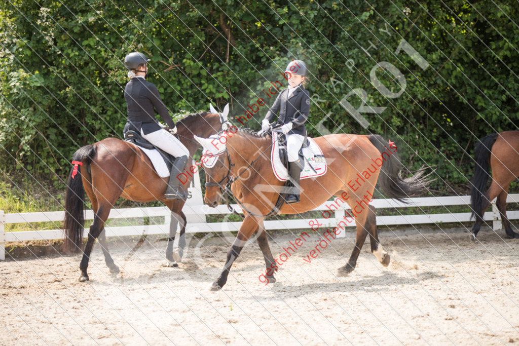 IMG_3502 | Sport-, Event- und Tierfotos in Profiqualität. Einfach auswählen, bestellen und herunterladen. Dein Moment – perfekt festgehalten.