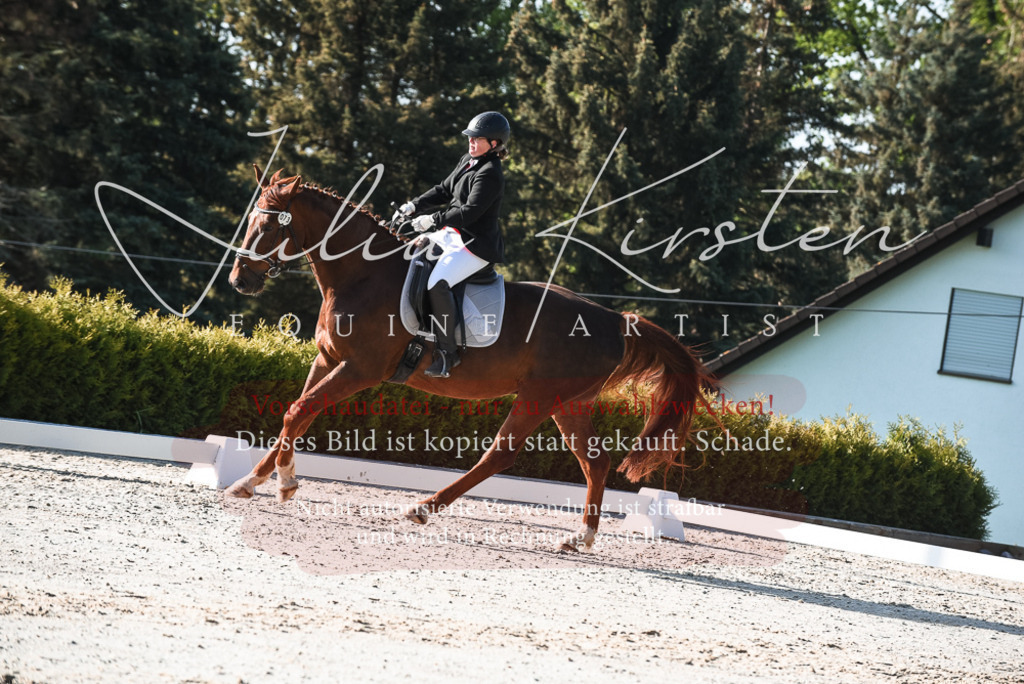 20230518_JK-Röhrsdorf-09-0517 | Pferde- und Turnierfotografie in Westsachsen. Pferdeportraits, Auftragszeichnungen und intuitive Kunst.