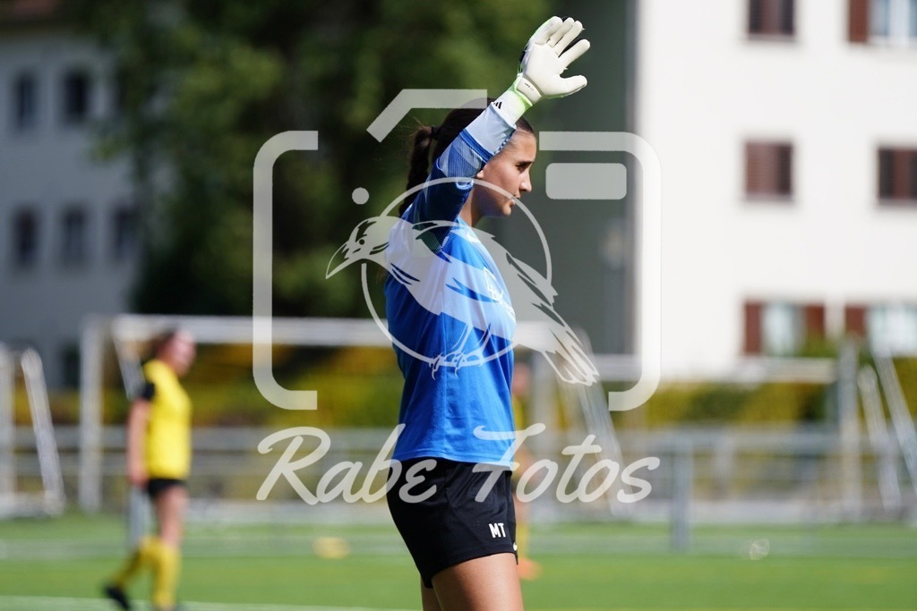 SON08543 | rabefotos