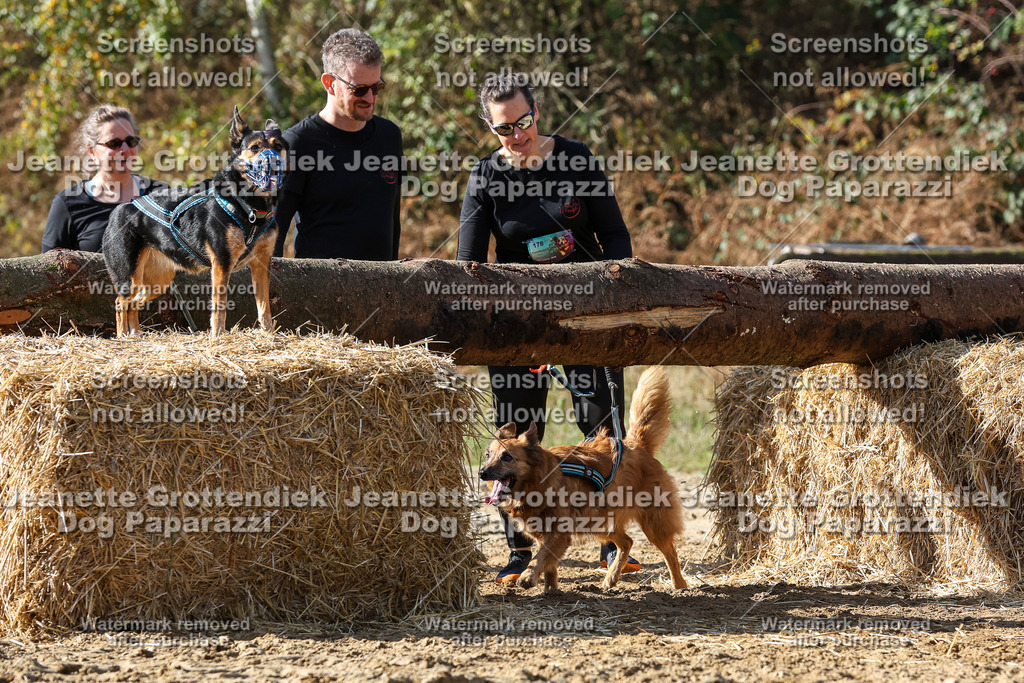 Dog Paparazzi - Strongdog 10-25-4838 | Dog Paparazzi Jeanette Grottendiek Fotografie & Videografie - Realisiert mit Pictrs.com
