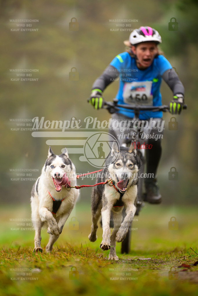 MompixPhotography_Bischwiller2025_Bike-135 | mompixphotography