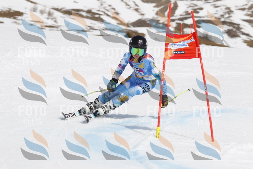 _U3G2871 | holidayphoto