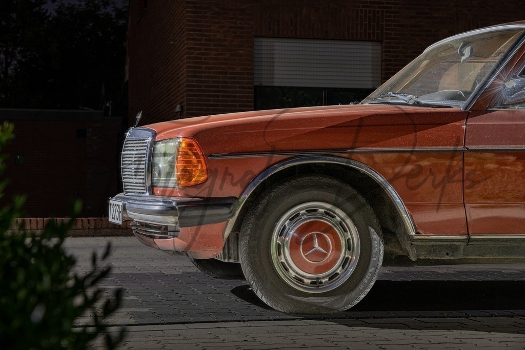 9BC9350F-E05A-479E-8FCF-0AAECA3EE5F4 | fotografie-derks - Realisiert mit Pictrs.com