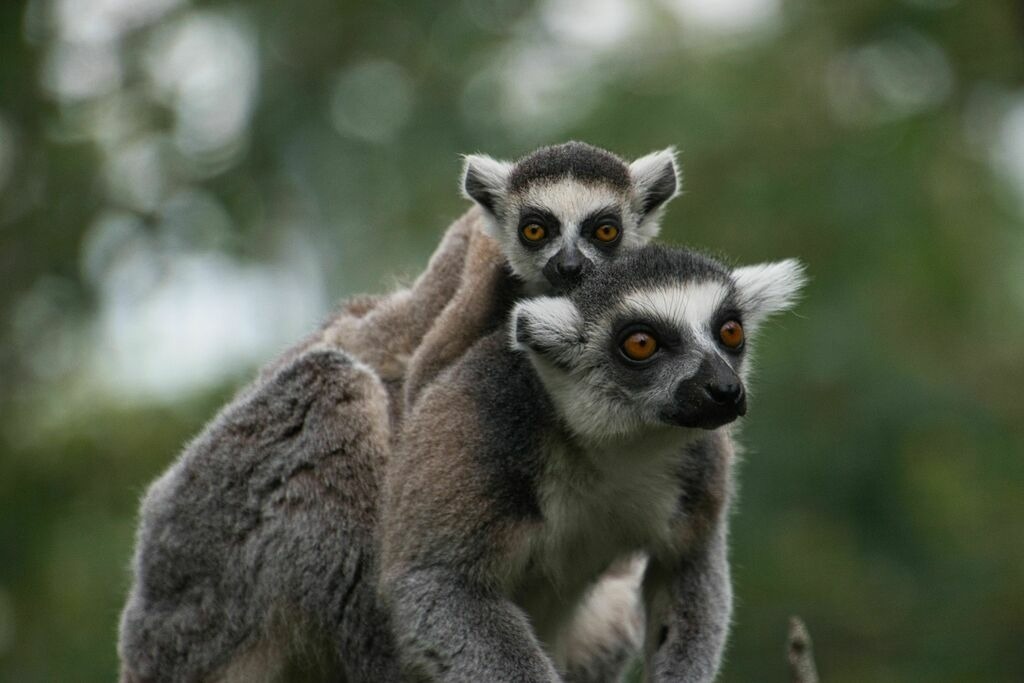 Kattajunges auf Mama 2 | Unvergessliche Erinnerungen in Bildern festgehalten! Ob Hochzeit, Shooting oder Landschaft  - Ich bin dein Fotograf in Erfurt und Umgebung! Photo-Rauch | Sandro Rauch - Realisiert mit Pictrs.com