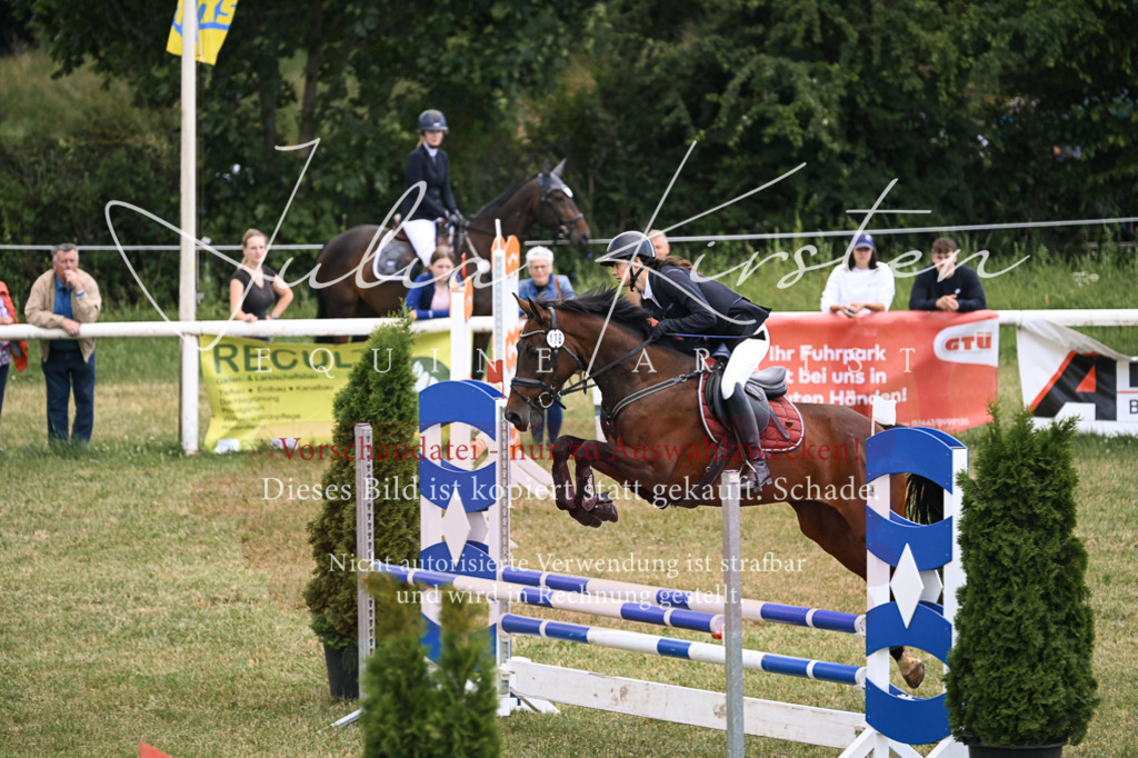 DSC_9422 | Pferde- und Turnierfotografie in Westsachsen. Pferdeportraits, Auftragszeichnungen und intuitive Kunst.