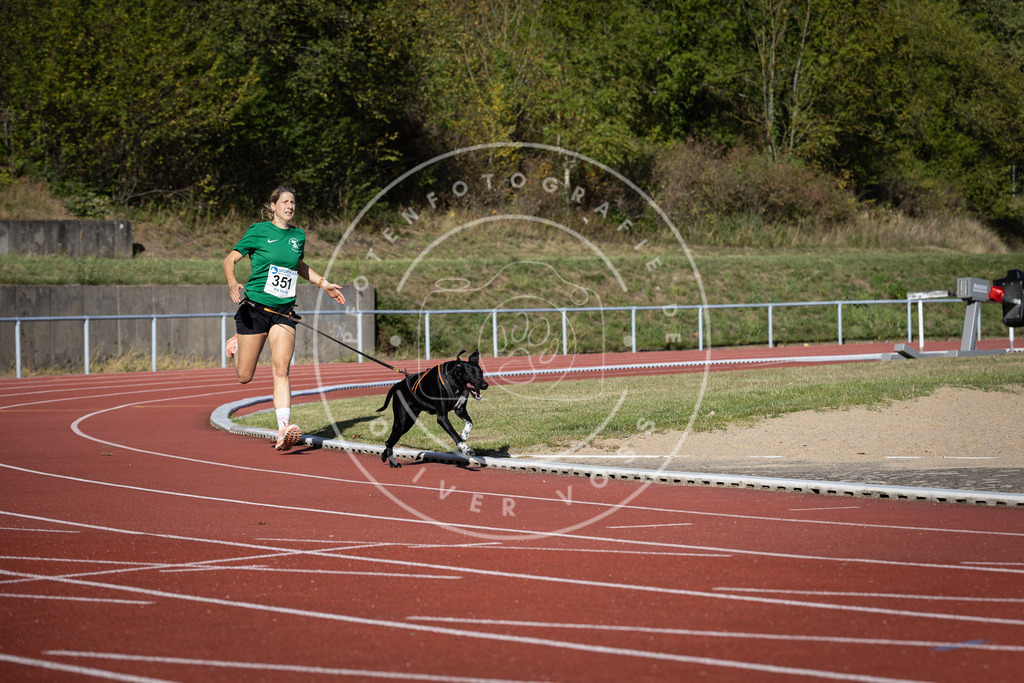 Pfotenfotografie_DV3A9120 | Hundefotografie, Tierfotograf, Pfotenfotografie, Fotoshooting Hund, Hunde Portrait, Hundesport, Hundeportraits, Heideshooting, Hunde, Sportfotograf, Hundefotograf, Turnierhundsport, THS,  - Realisiert mit Pictrs.com