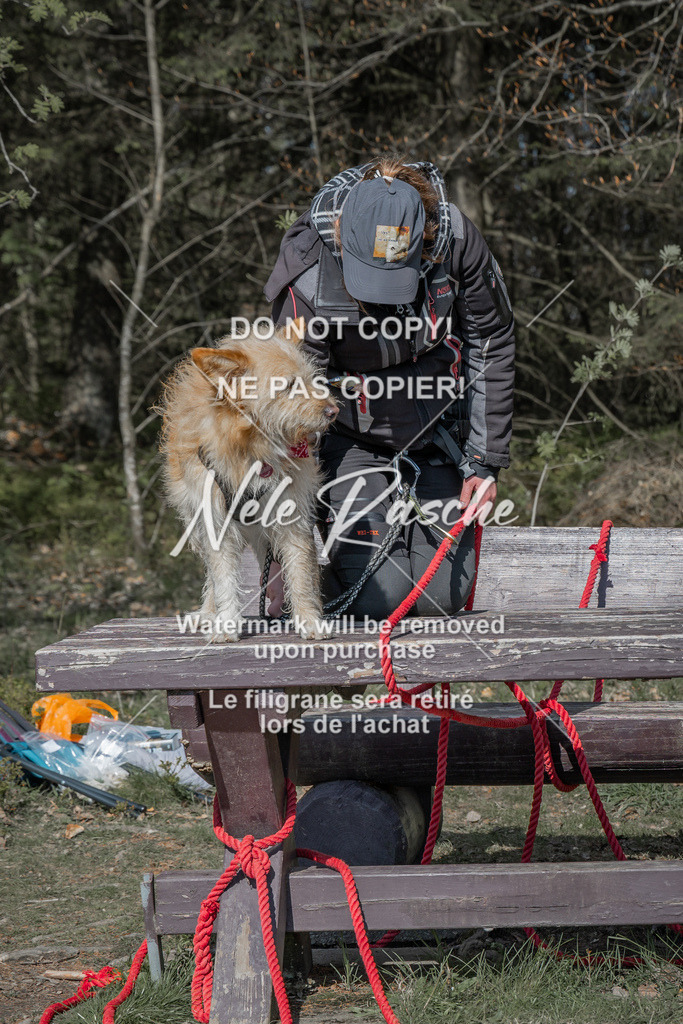 NR__0049 | nelerasche