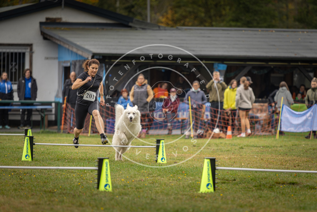 Pfotenfotografie_DV3A1581 | Hundefotografie, Tierfotograf, Pfotenfotografie, Fotoshooting Hund, Hunde Portrait, Hundesport, Hundeportraits, Heideshooting, Hunde, Sportfotograf, Hundefotograf, Turnierhundsport, THS,  - Realisiert mit Pictrs.com