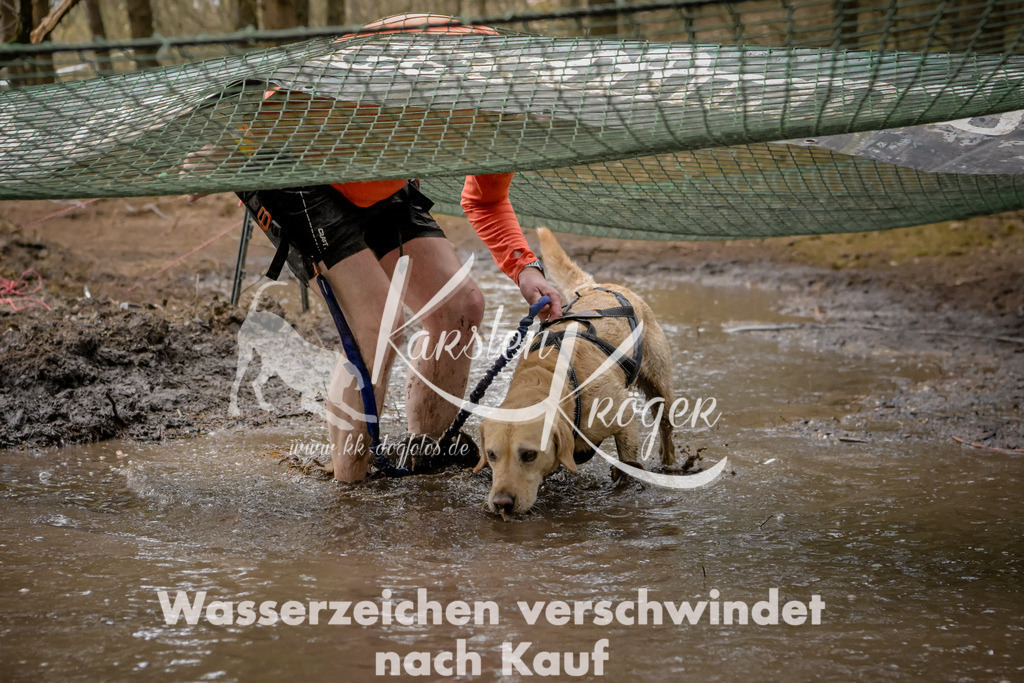 1041_ZZ91784 | kk-dogfotos