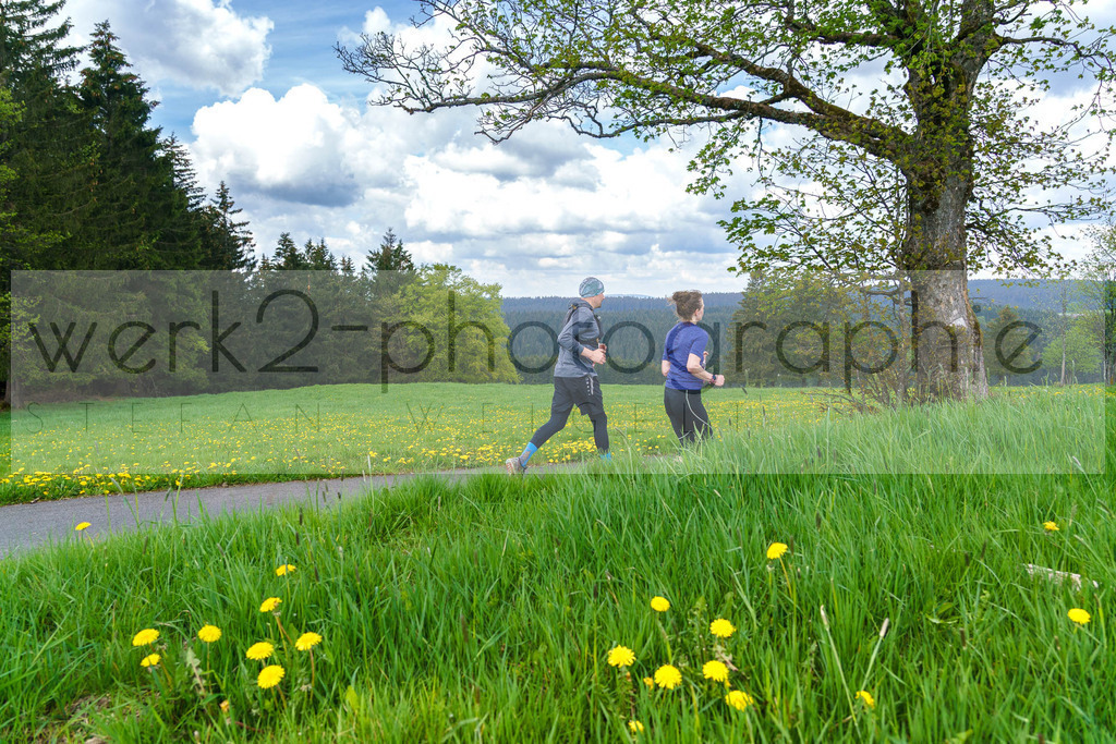 Rennsteiglauf 2023 | Rennsteiglauf 2023 am 12. Mai 2023 - Marathon-Strecke Neuhaus/Rwg. - Schmiedefeld