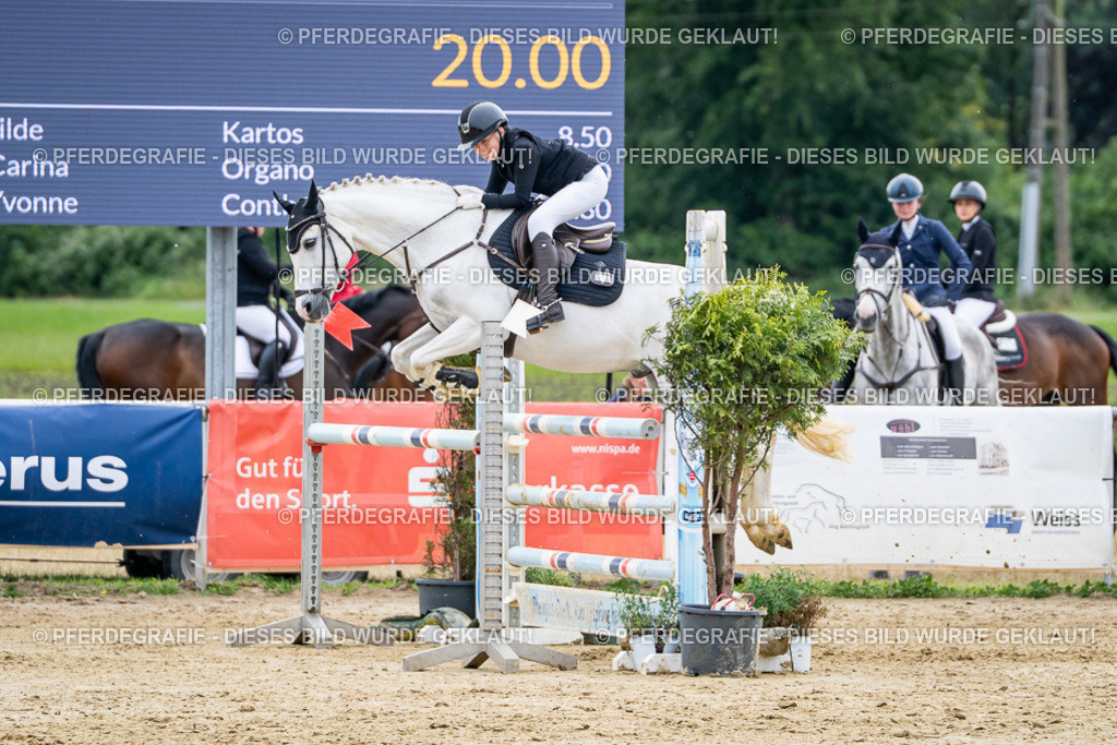 DSC05547 | Pferdegrafie