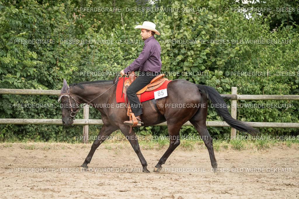 DSC03296 | Pferdegrafie